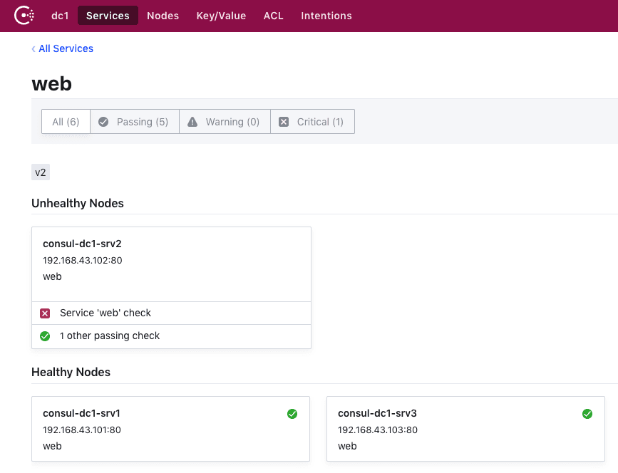 Consul UI Unhealthy